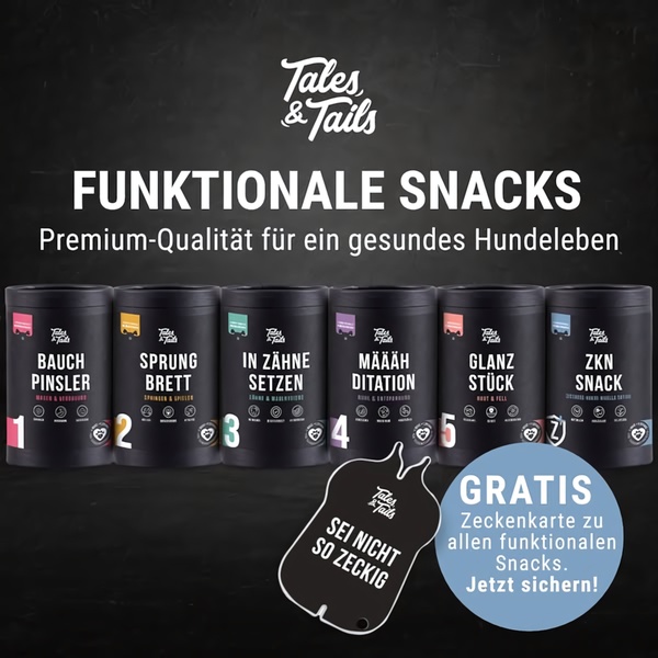 A clean, symmetrical product display featuring six different dog snack canisters with clear labeling for distinct health benefits, plus a promotional gift offer.